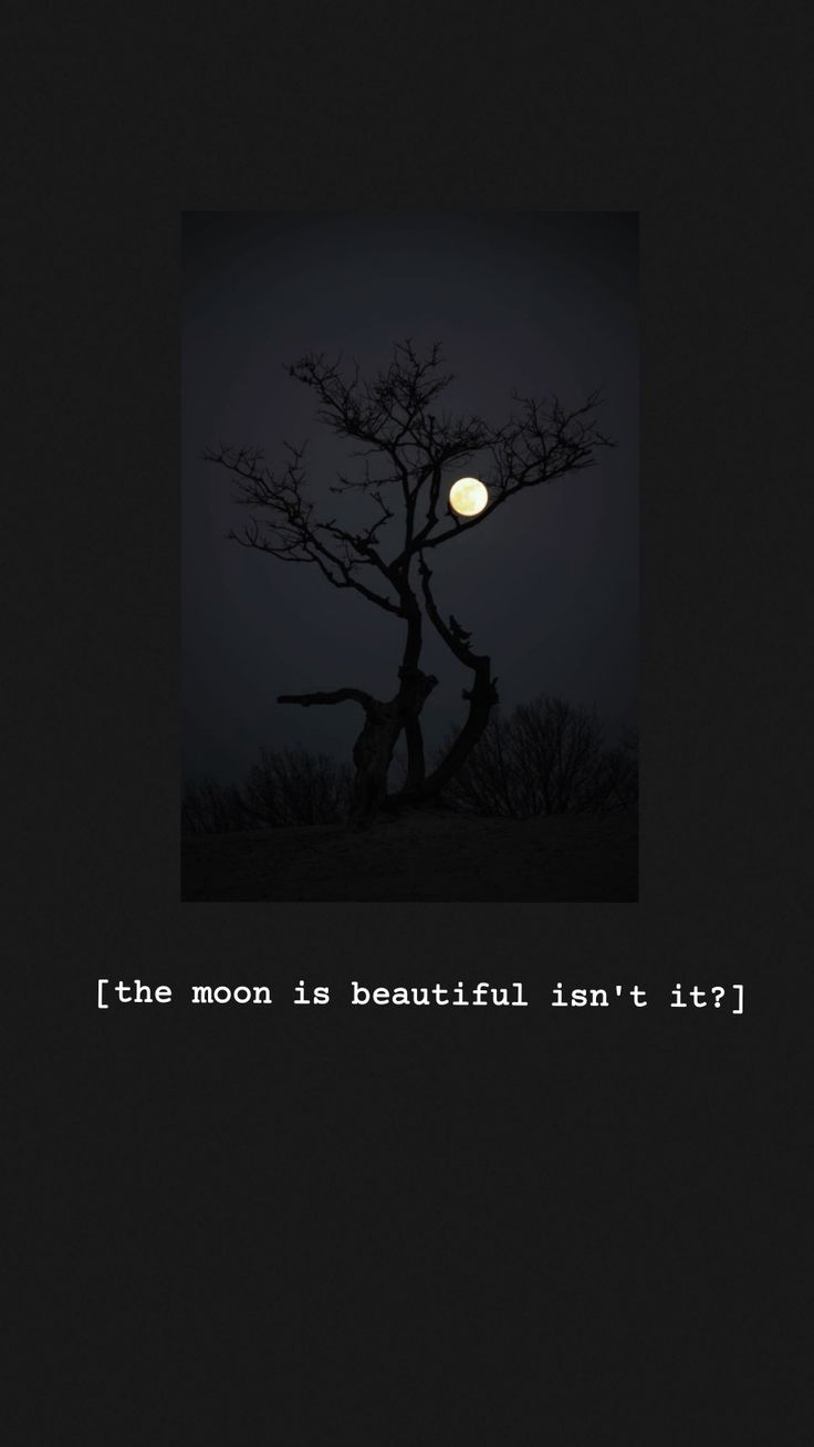 the moon is beautiful isn't it